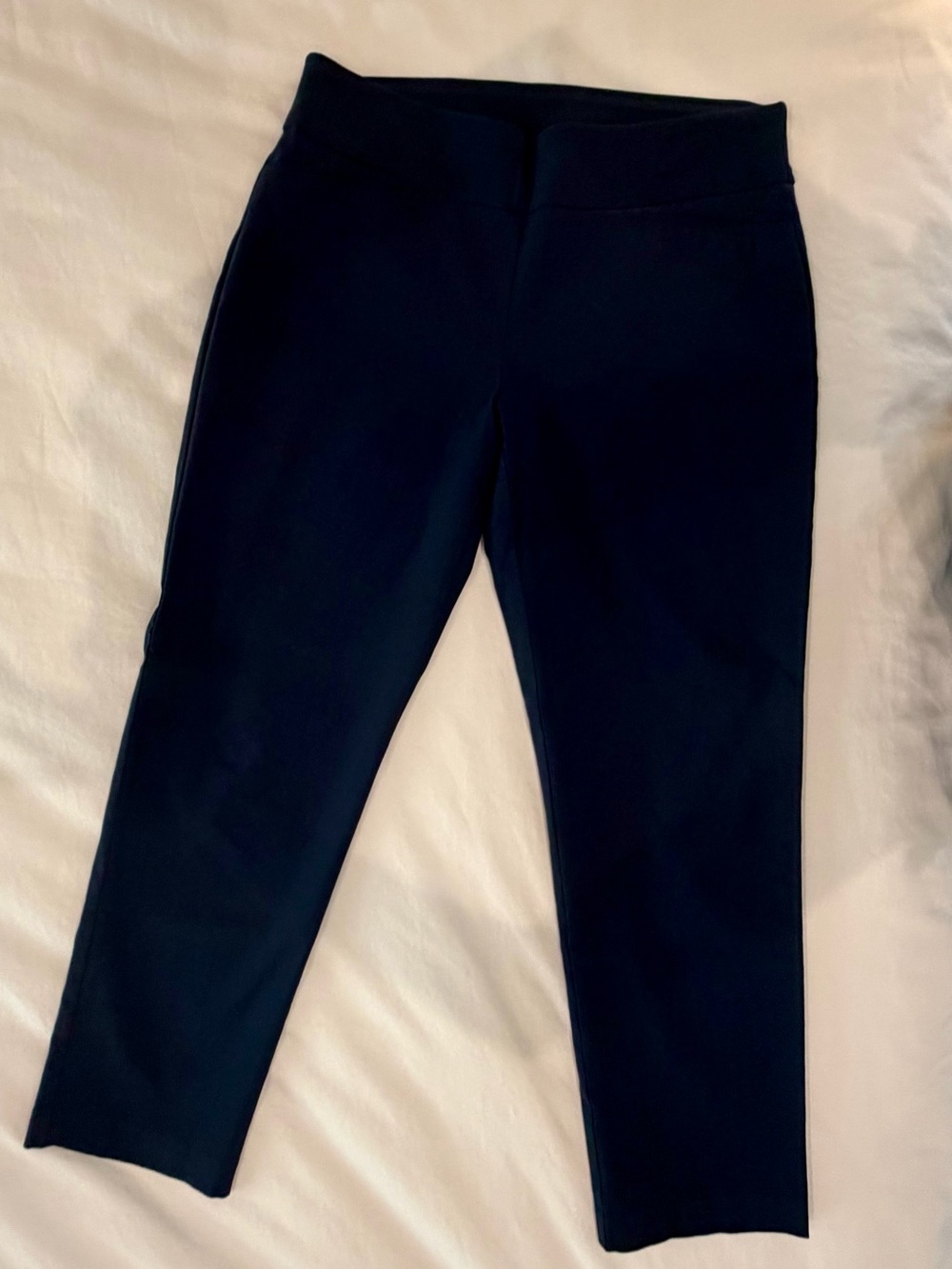 Attyre Black Ponte Ankle Pants